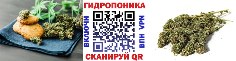 Печенье с ТГК конопля  omg ONION  Клин 
