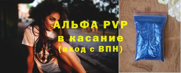 сатива Беломорск