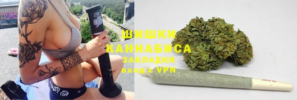 дмт Белокуриха