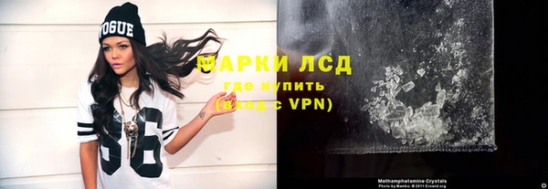 сатива Беломорск