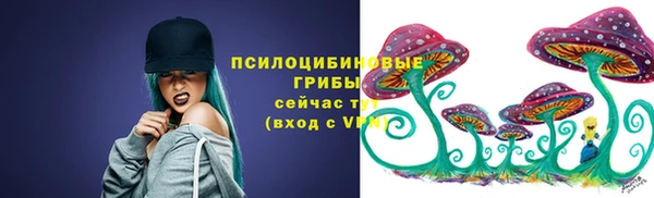 сатива Беломорск