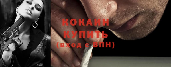 сатива Беломорск