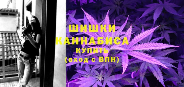 сатива Беломорск