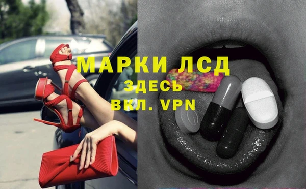сатива Беломорск
