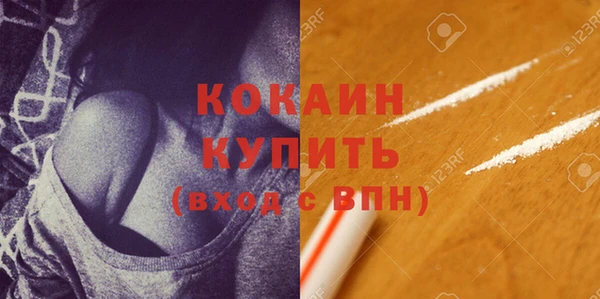 сатива Беломорск