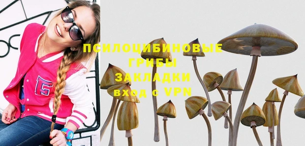 сатива Беломорск