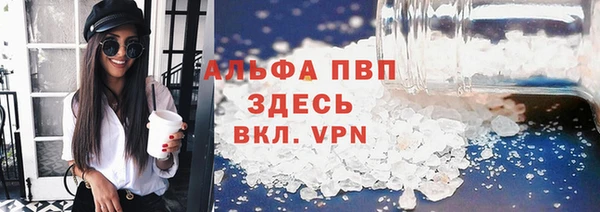 дмт Белокуриха