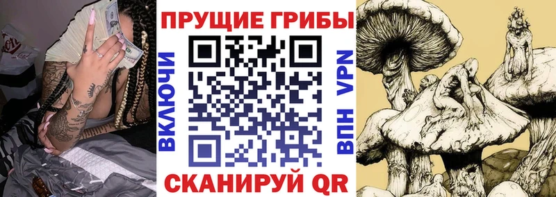 Галлюциногенные грибы мухоморы  где купить наркоту  Клин 
